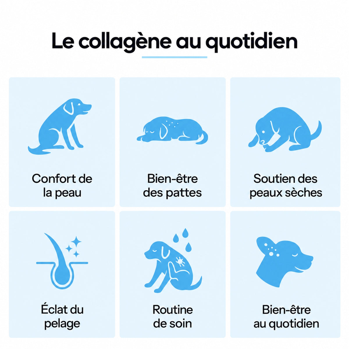 Nidalis Collagène Liquide – Peau & Pelage